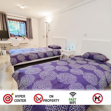 Tranquil City Haven Close To Airport & Basel Saint-Louis  Eksteriør bilde
